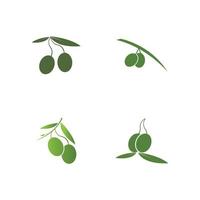 olive icon vector illustration