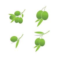 olive icon vector illustration