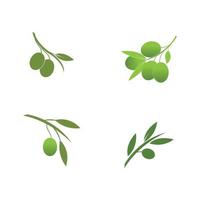 Ilustración de vector de icono de oliva