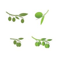 olive icon vector illustration