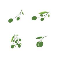 olive icon vector illustration