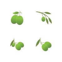 olive icon vector illustration