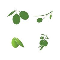 olive icon vector illustration