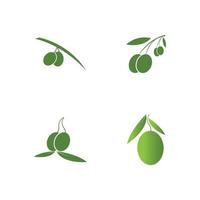 olive icon vector illustration