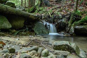 Magic mountain stream in the Carpathian forest. photo