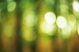 Natural green defocus light nature abstract background. photo