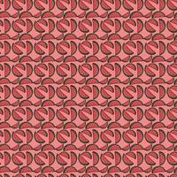 Patrón de vector transparente de sandía. vector de doodle coloreado con iconos de sandía aislados sobre fondo rojo. patrón de sandía vintage, fondo de elementos dulces para su proyecto