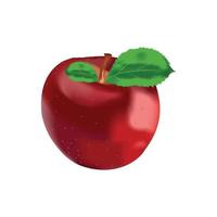 vector de manzana roja realista