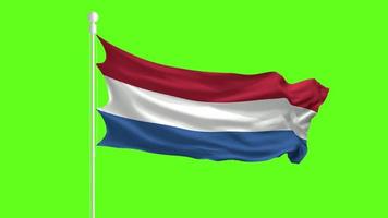 Netherlands Flag Waving and Fluttering in front of a green screen, flag animation on a green screen video