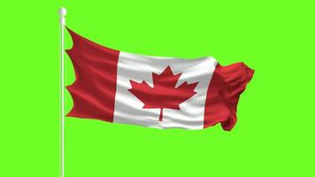 canada Flag Waving and Fluttering in front of a green screen, flag animation on a green screen video