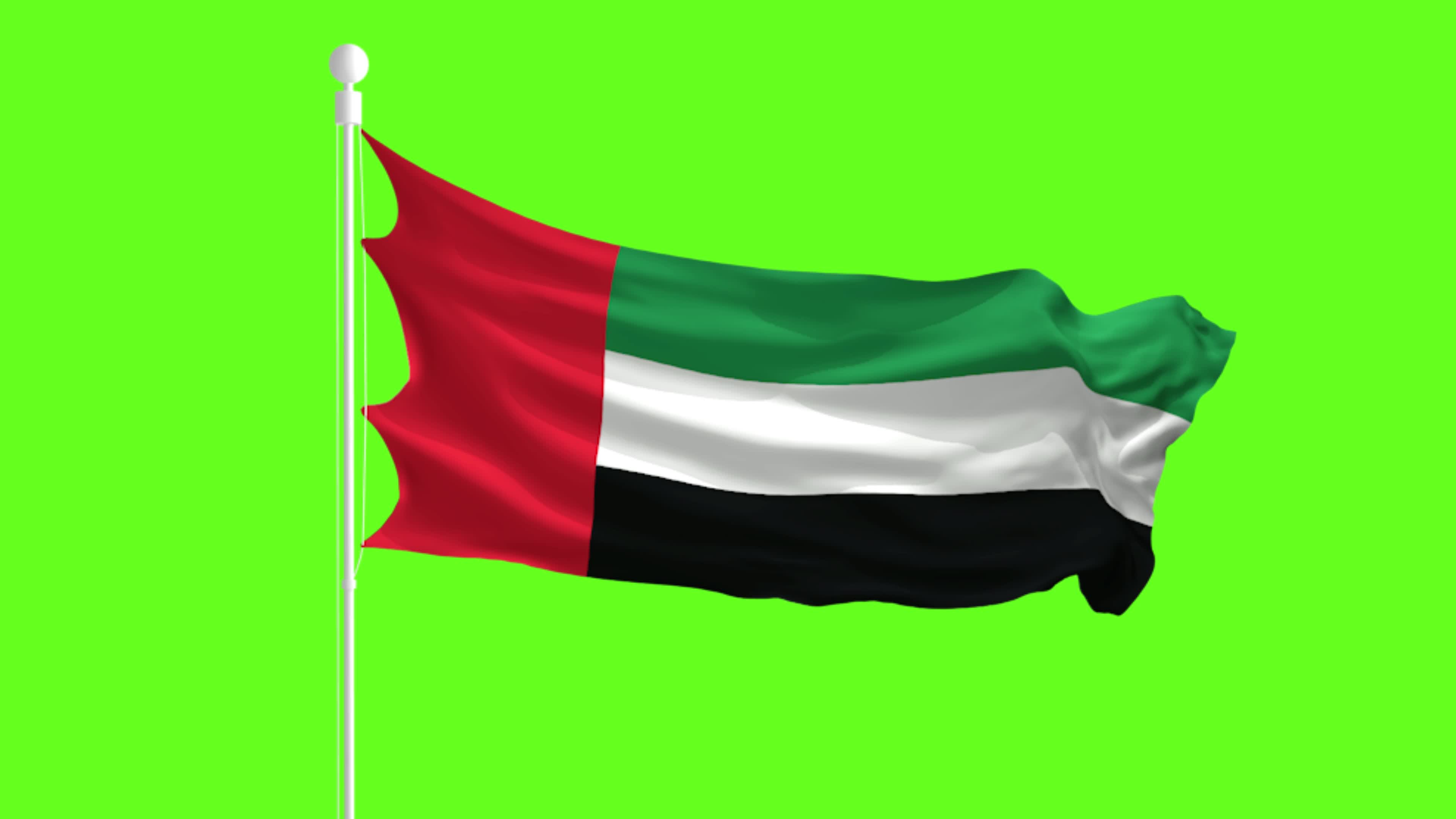 Uae Waving Flag Stock Video Footage for Free Download