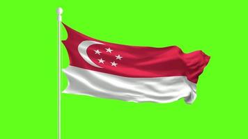 vlag van singapore zwaaien en fladderen voor een groen scherm, vlaganimatie op een groen scherm video