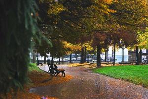 otoño en el parque de la ciudad foto