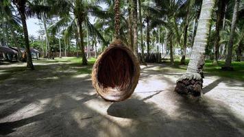 Bird nest swing is moving in coconut farm. video