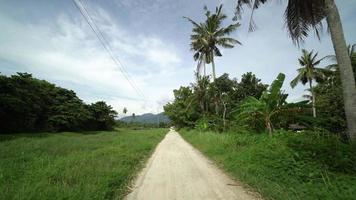 Drive at the rural path of village. video