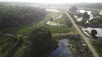 Aerial view misty fog morning at rural area video