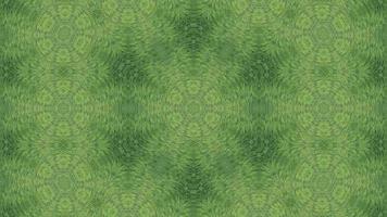 Kaleidoscopic view of green plant. video