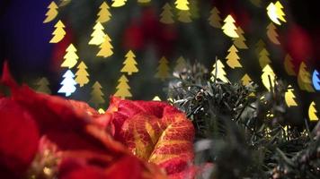 decorazione natalizia fiori e parti con luce bokeh video