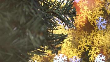 Christmas pine tree leaves with snow bokeh background.