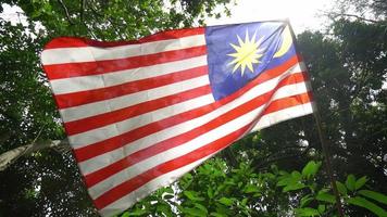Malaysia flag wave under the flare video