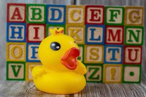 Rubber duck baby toy photo