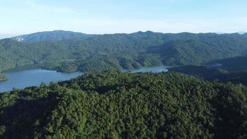 vista aerea albero verde della foresta e lago calmo video