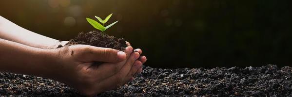 World environment day and save environment concept, close up hand holding soil with seedling plant or small tree with dark ground, save and protect earth concept photo