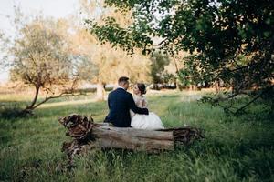 the groom and the bride are walking in the forest near a narrow river photo