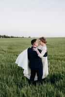 the groom and the bride walk along the wheat green field photo