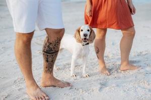 young couple in orange clothes with dog photo