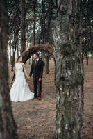 walk of the bride and groom through the autumn forest photo