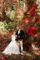 paseo de la novia y el novio por el bosque de otoño foto