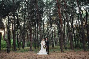 walk of the bride and groom through the autumn forest photo