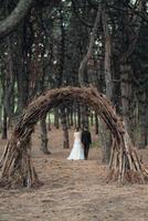 paseo de la novia y el novio por el bosque de otoño foto