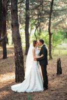 walk of the bride and groom through the autumn forest photo