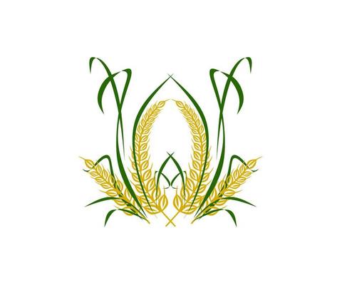 rice plant element vector, agricultural brand icon