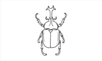 Beetle illustration in an uncolored hand drawn