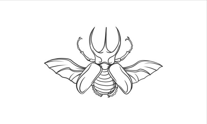 Beetles with wings hand drawn illustration