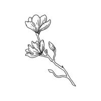 a beautiful outline illustration of flowers with stem. flower hand drawn illustration collection for floral design. an element decoration for wedding invitation, greeting card, tattoo, etc. vector