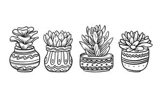 Set of Potted plant hand drawn vector illustration, plant isolated graphic elements for design, Succulent plant with leaves illustration to create romantic or vintage design.