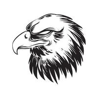 a threatening eagle face in alert. a hand drawn illustration of a wild animal head. line art drawing for emblem, poster, sticker, tattoo, etc. vector