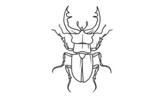 Ilustración de vector lineart de escarabajos sobre fondo blanco, boceto de insecto insecto escarabajo cornudo japonés dibujado a mano