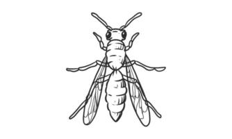 Vector lineart illustration of honey bee on white background, hand drawn bee insect sketch