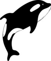 Great killer whale. Vector illustration