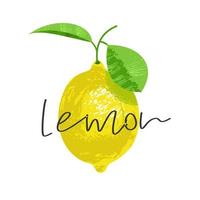Lemon on a twig with a leaf. Vector illustration with inscription. On white background.