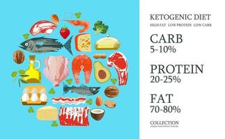 Ketogenic diet. A large set of products for the keto diet. Vector illustration. Meat, fish, vegetables, oils, nuts, eggs. Colorful poster with different products.