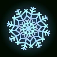 beautiful snowflake for winter design, symbol of new year and christmas holidays vector