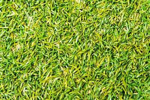 Texture of plastic grass on artificial turf photo