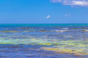 Playa colorida tropical mexicana punta esmeralda playa del carmen mexico.