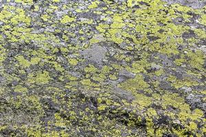 Stone rock texture with green moss and lichen in Norway.
